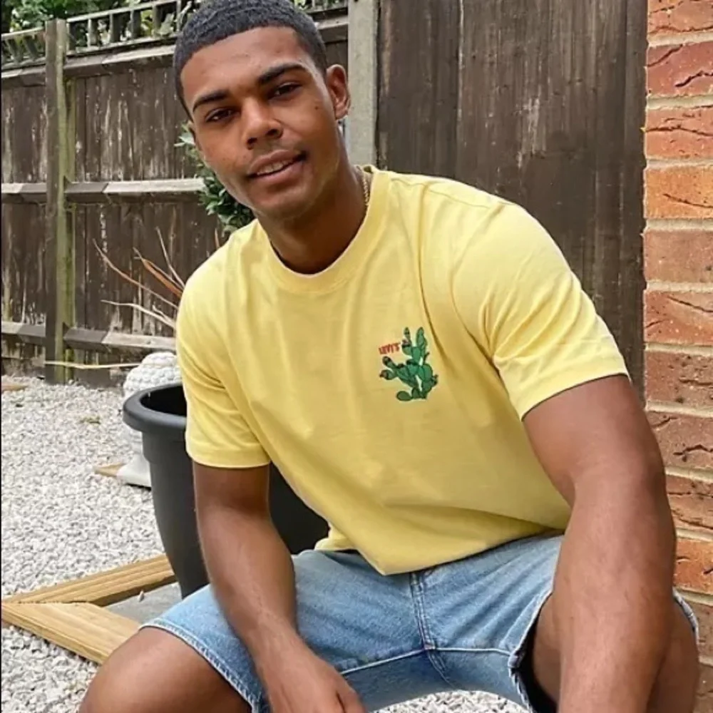 Levi’s Southwest Cactus in Sunglasses Relaxed Casual Mens Short Sleeve Tee Shirt